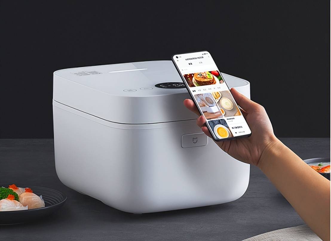 名：大力推荐这十个佳品必须收藏！ky开元棋牌中国电饭锅排行前十(图10)